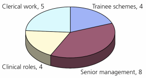 Diverse entry routes into the NHS (21 chief executives) 