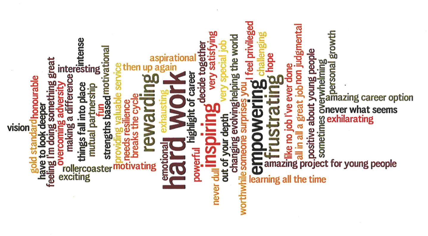 Word cloud: ‘working in the FNP is….’ 