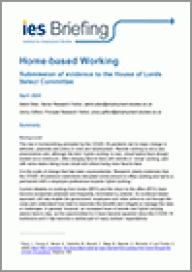 Remote hybrid-work: IES submission of evidence