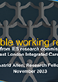 SEL ICS flex work review findings image