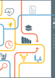 IES Annual Snapshot 2017